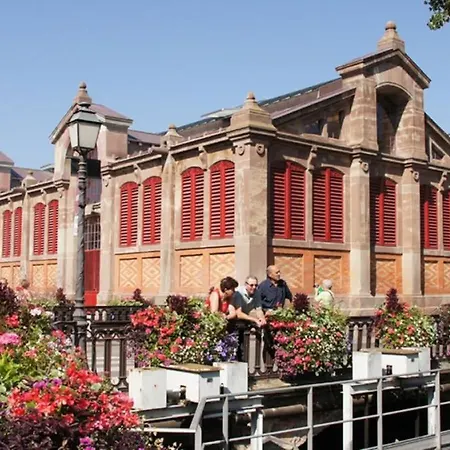 Lägenhet Historic Center - Belle Alsace - 3 - Bookingalsace Colmar