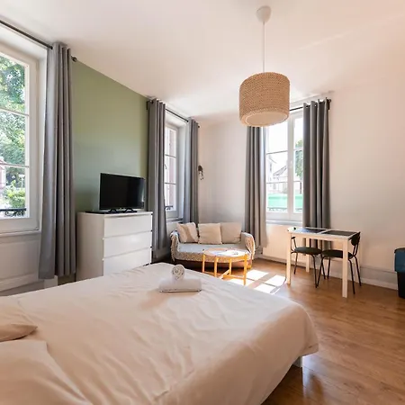 Historic Center - Belle Alsace - 3 - Bookingalsace Colmar