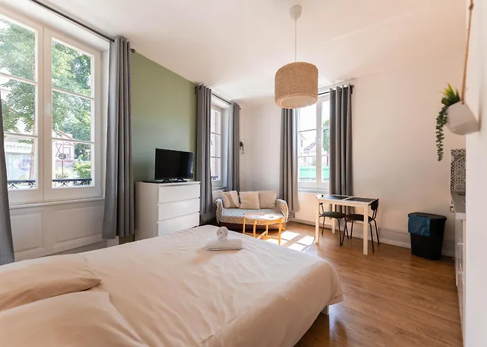 Historic Center - Belle Alsace - 3 - Bookingalsace 科尔马